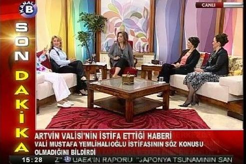 neurodidactic brain-based teaching, discussion on TV