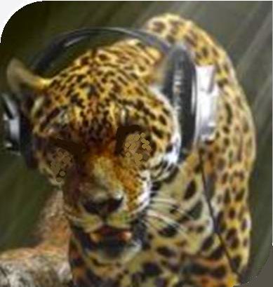 tiger with headphones