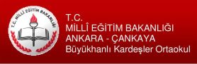 ankara-buyukhanli-kardesler-primary-school